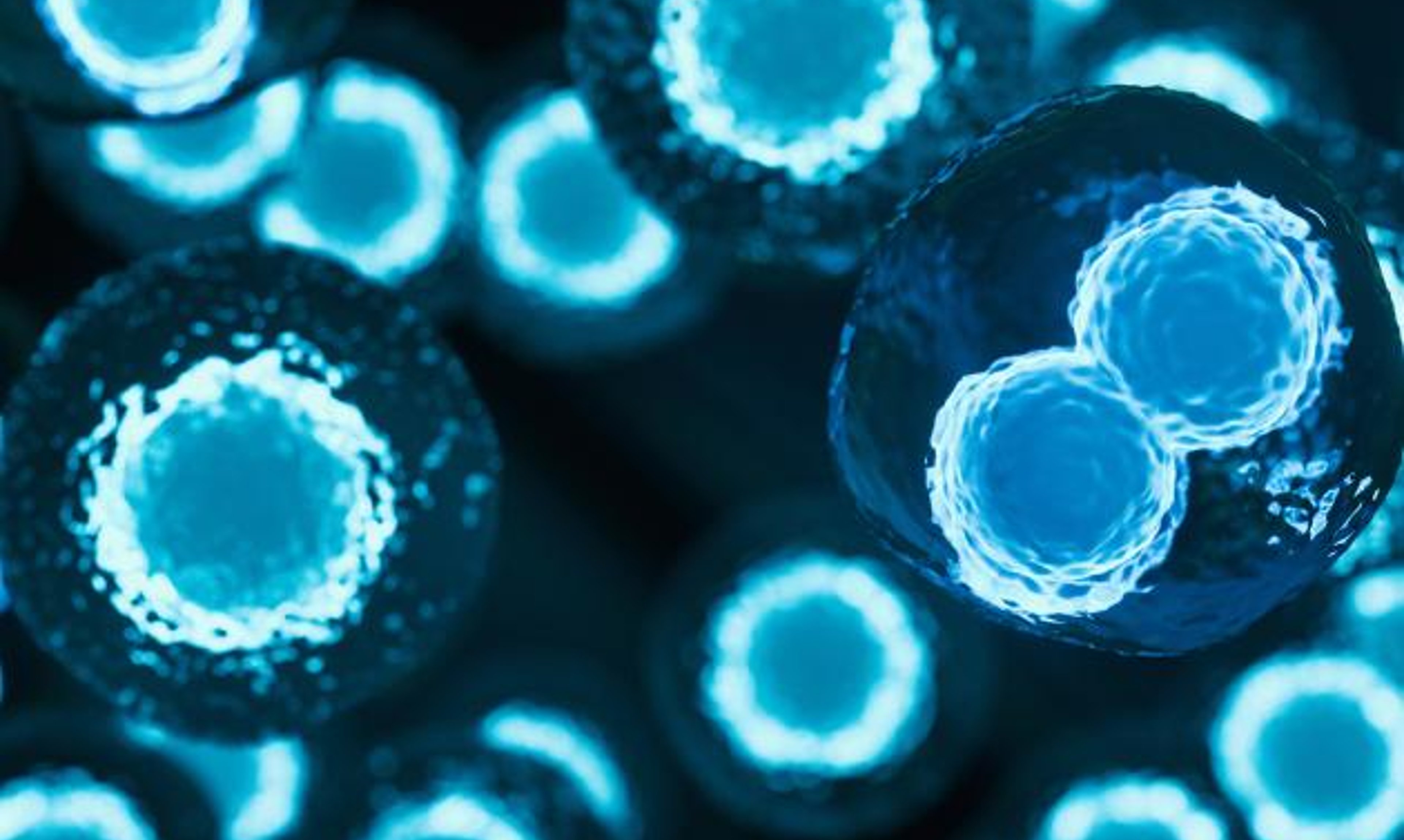 Stem cell therapy