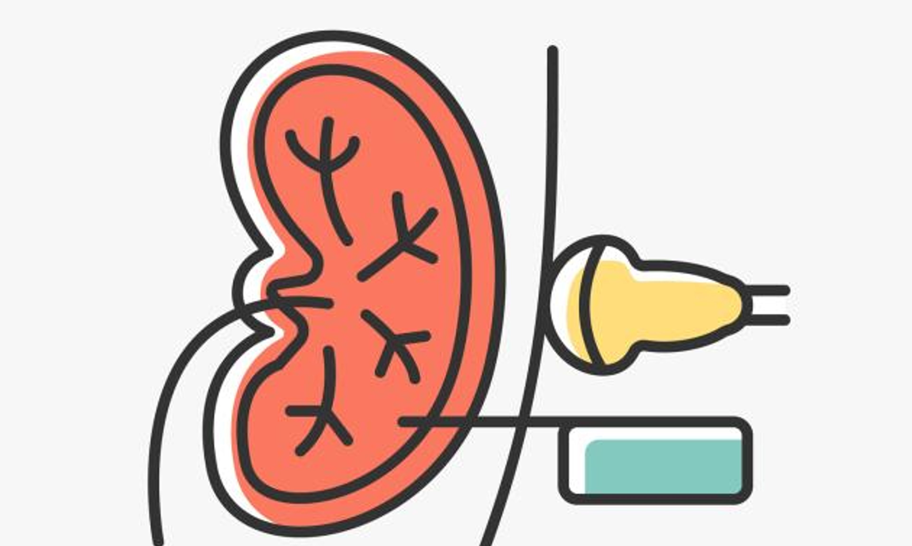 Kidney treatment