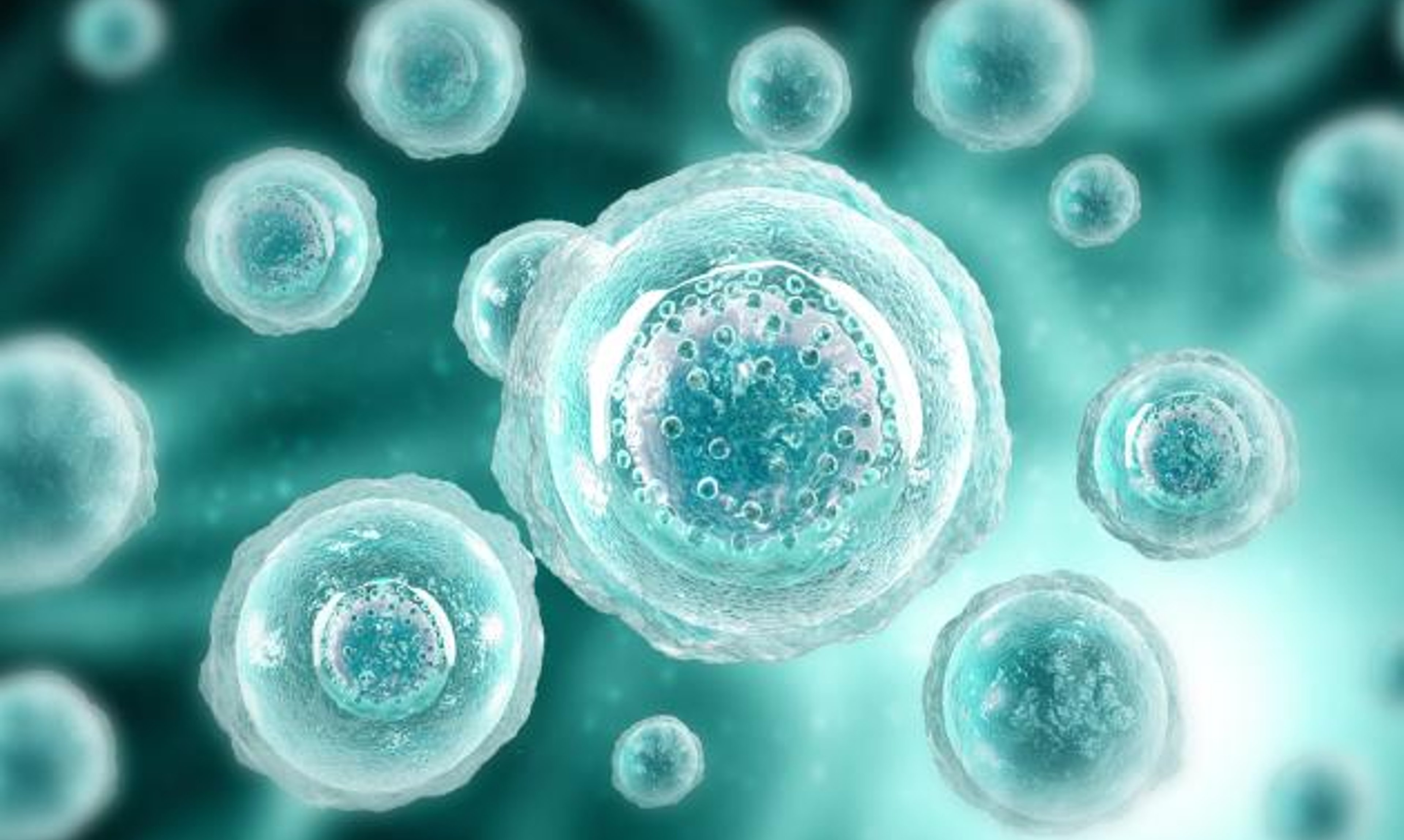 image of human cell on scientific background stock photo