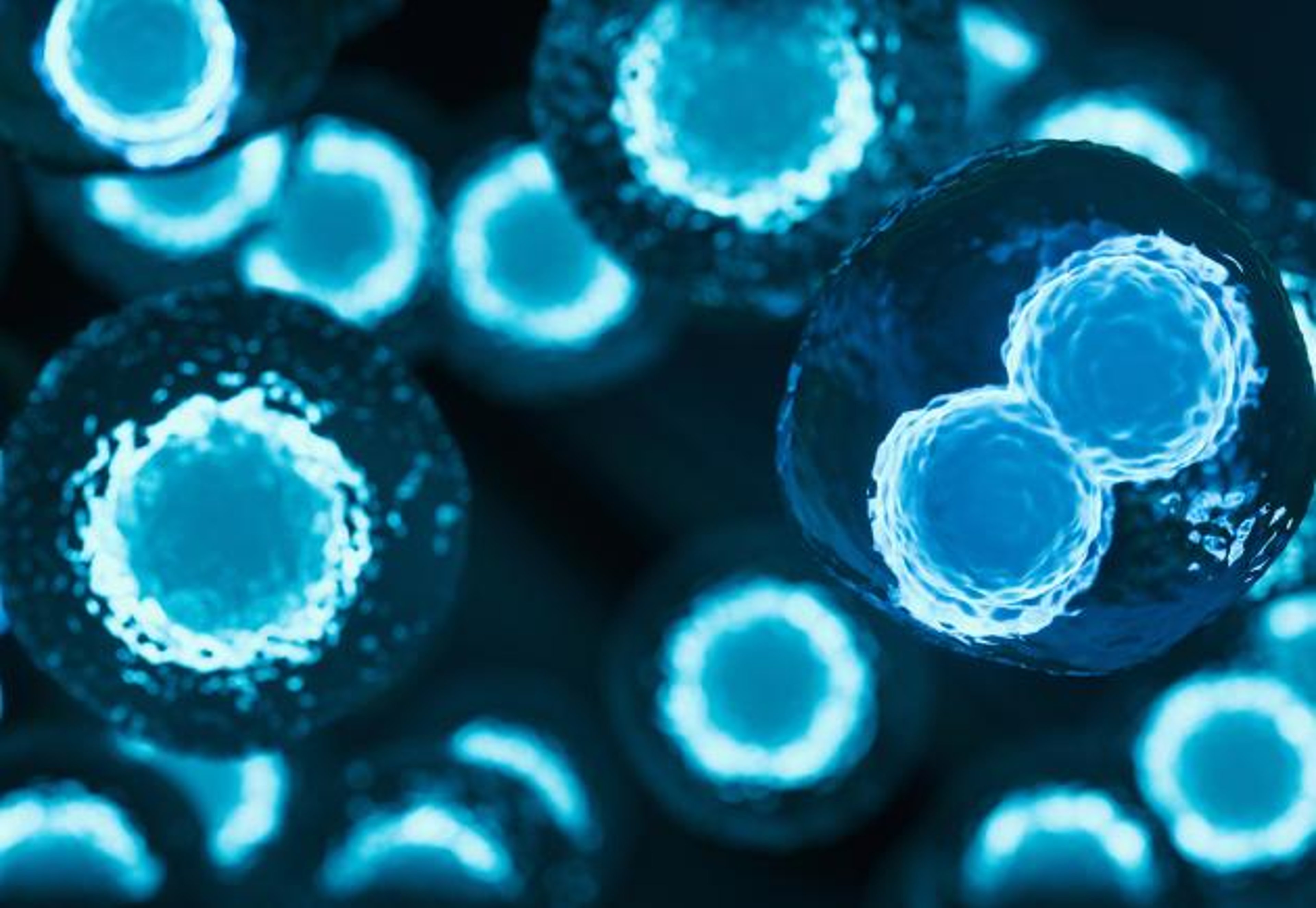 Stem cell therapy