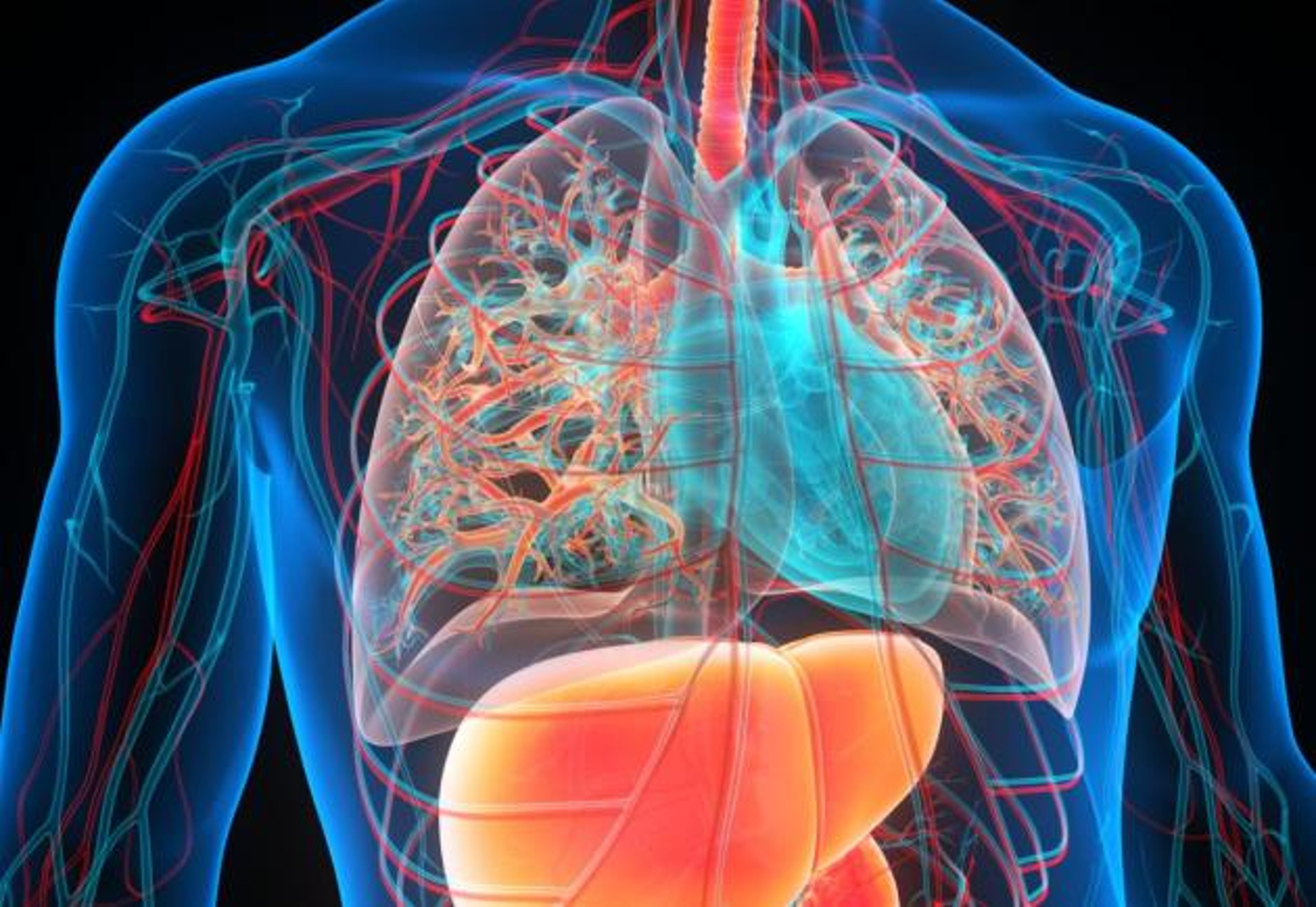 CKM syndrome describes the condition of overlapping diabetes, obesity, heart disease, and kidney disease