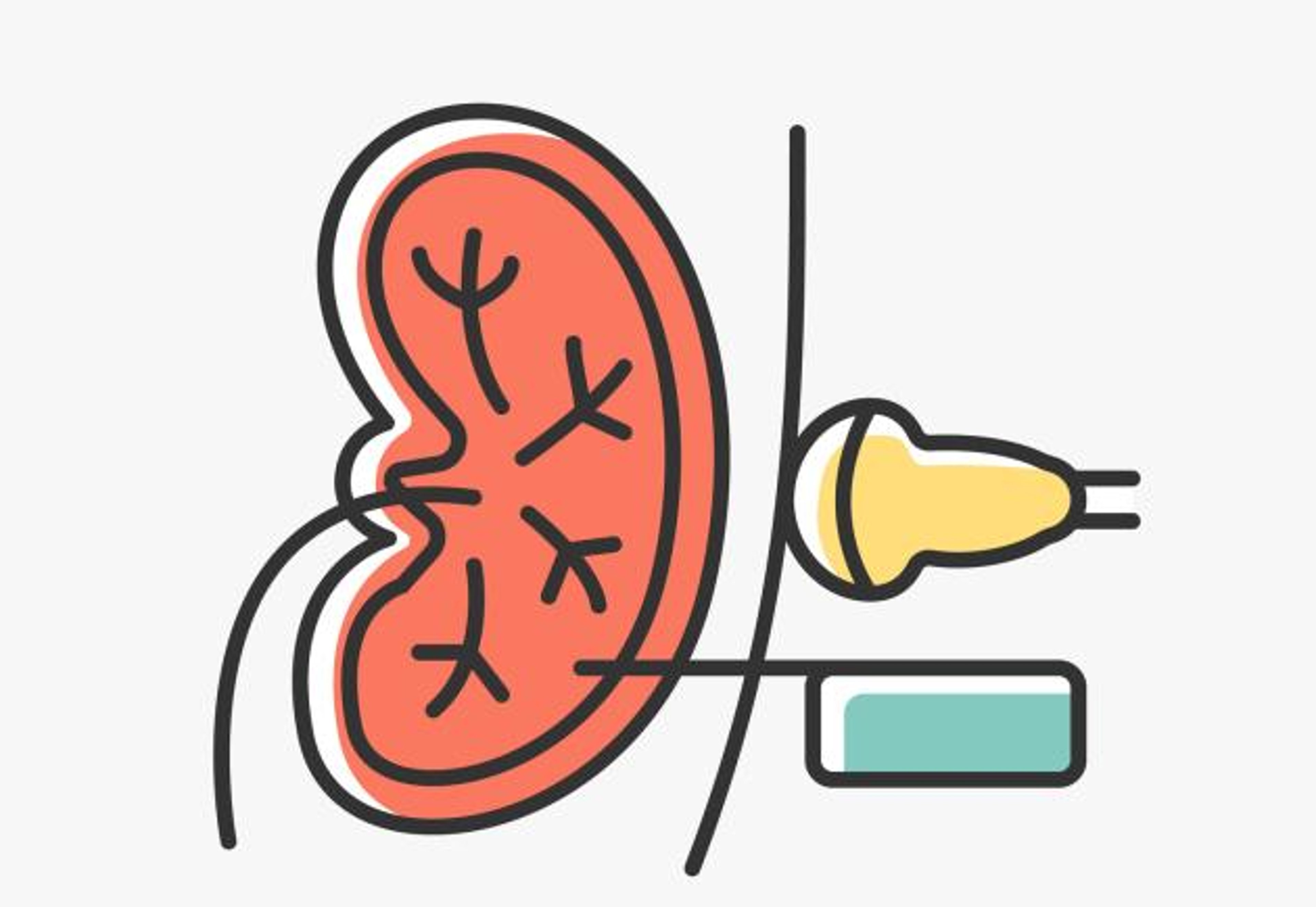 Kidney treatment