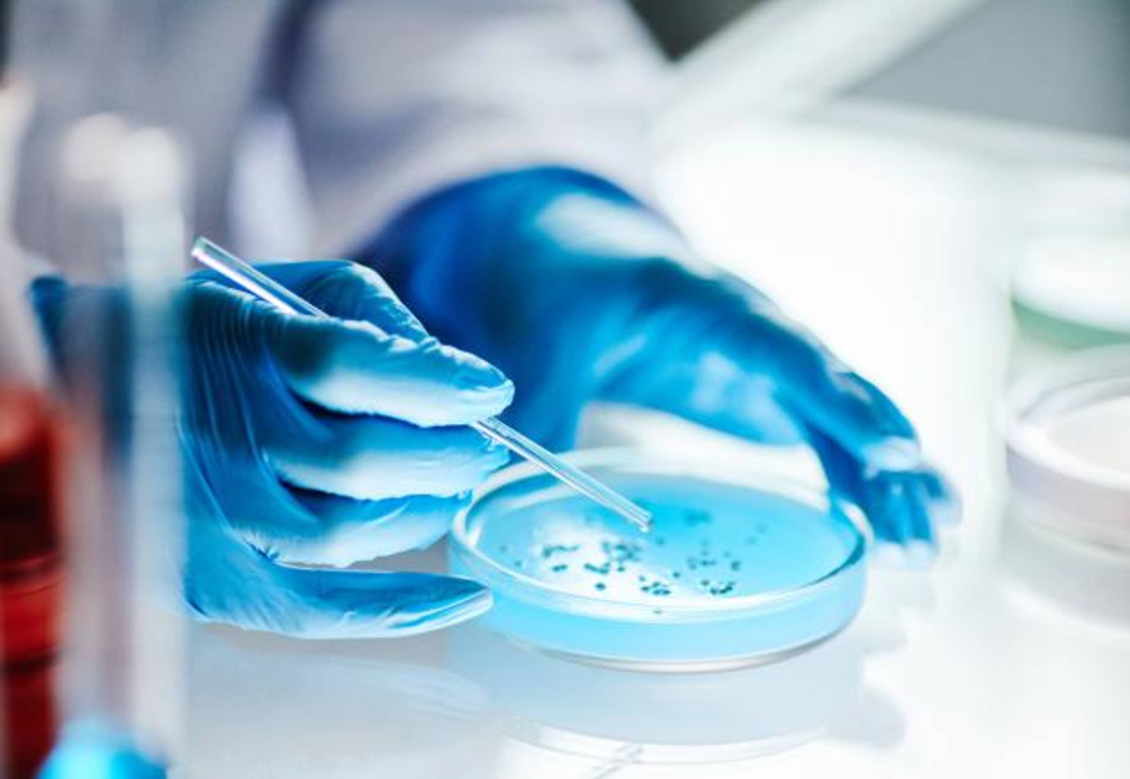 Researcher working with pipette and petri dish.