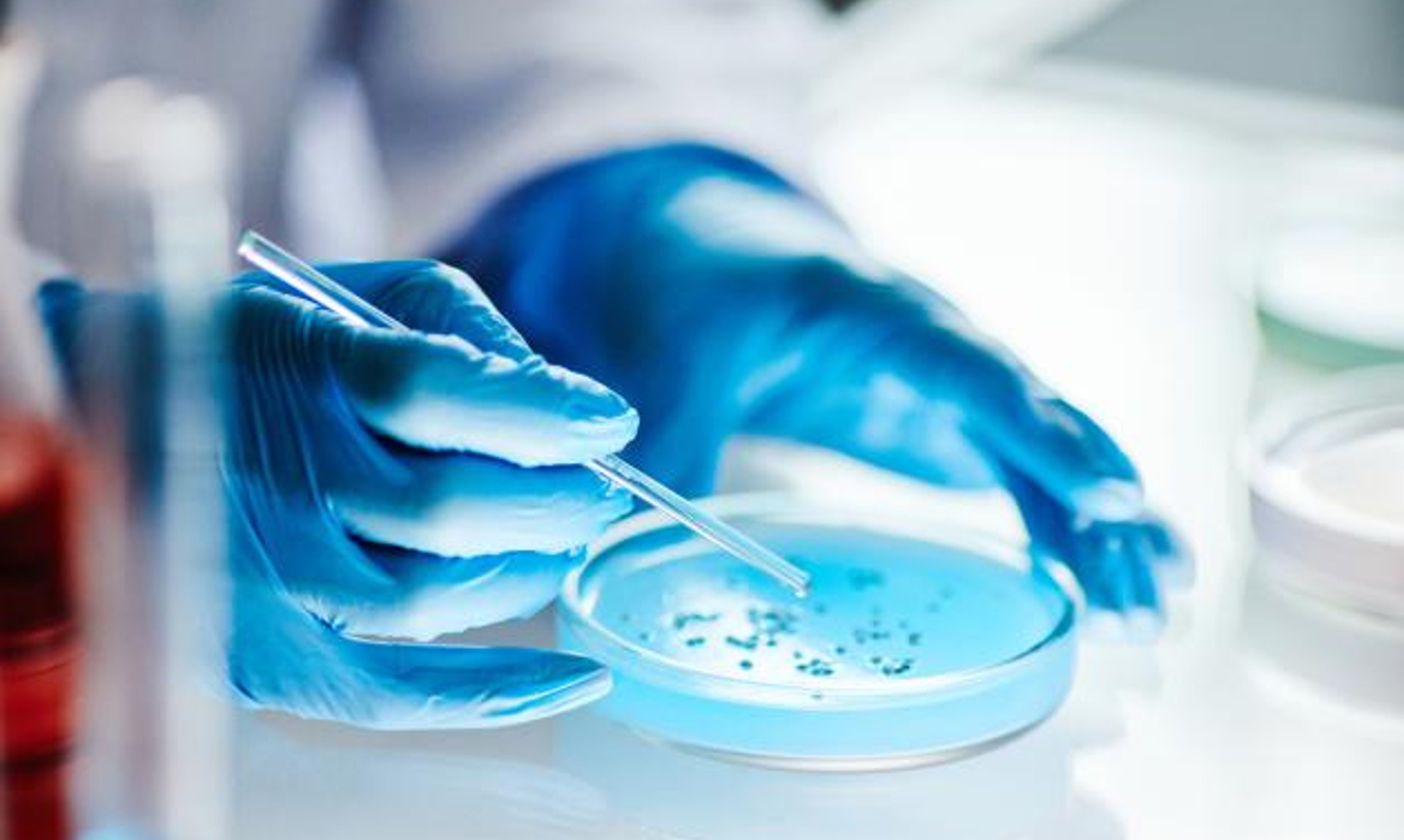 Researcher working with pipette and petri dish. 