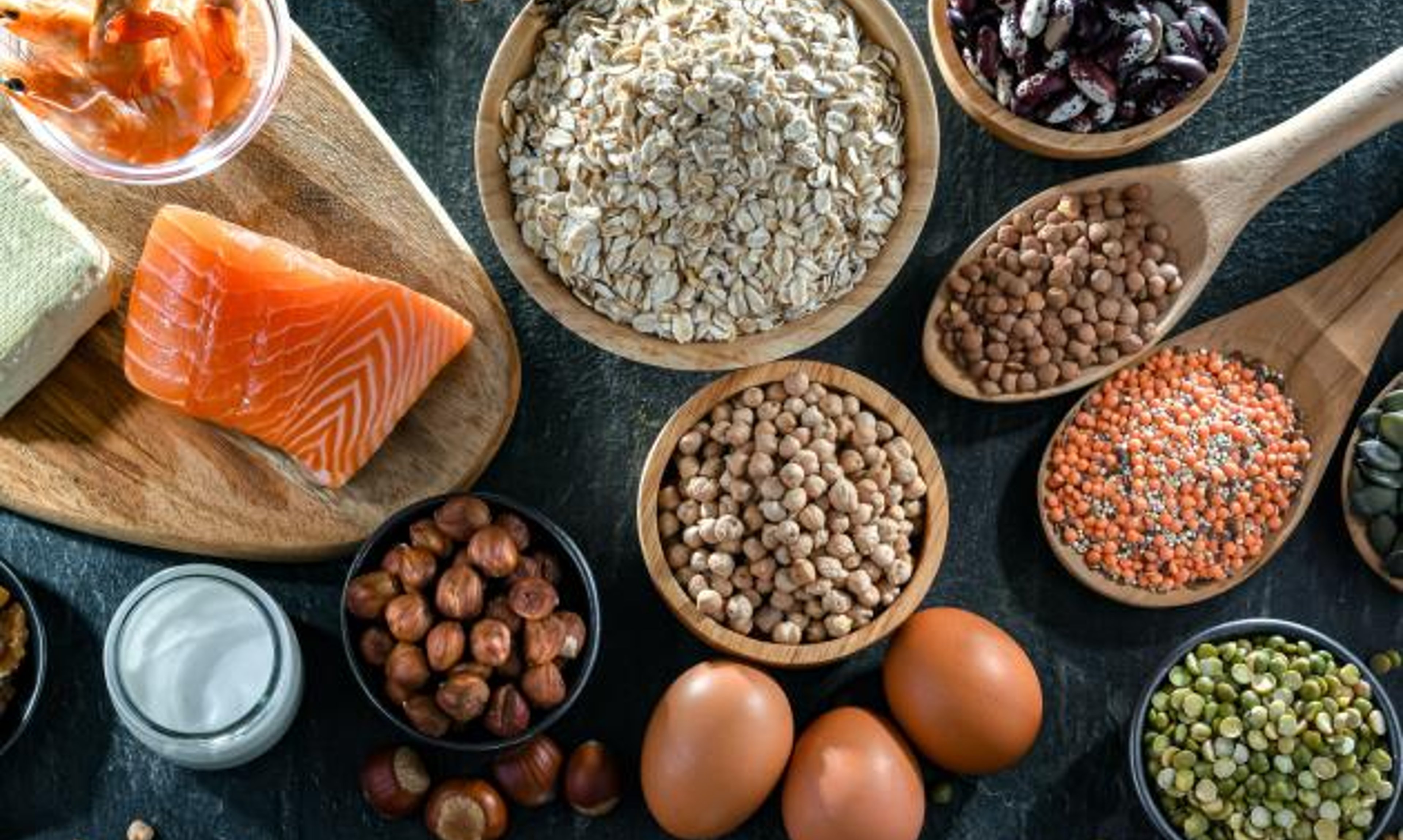 High protein foods