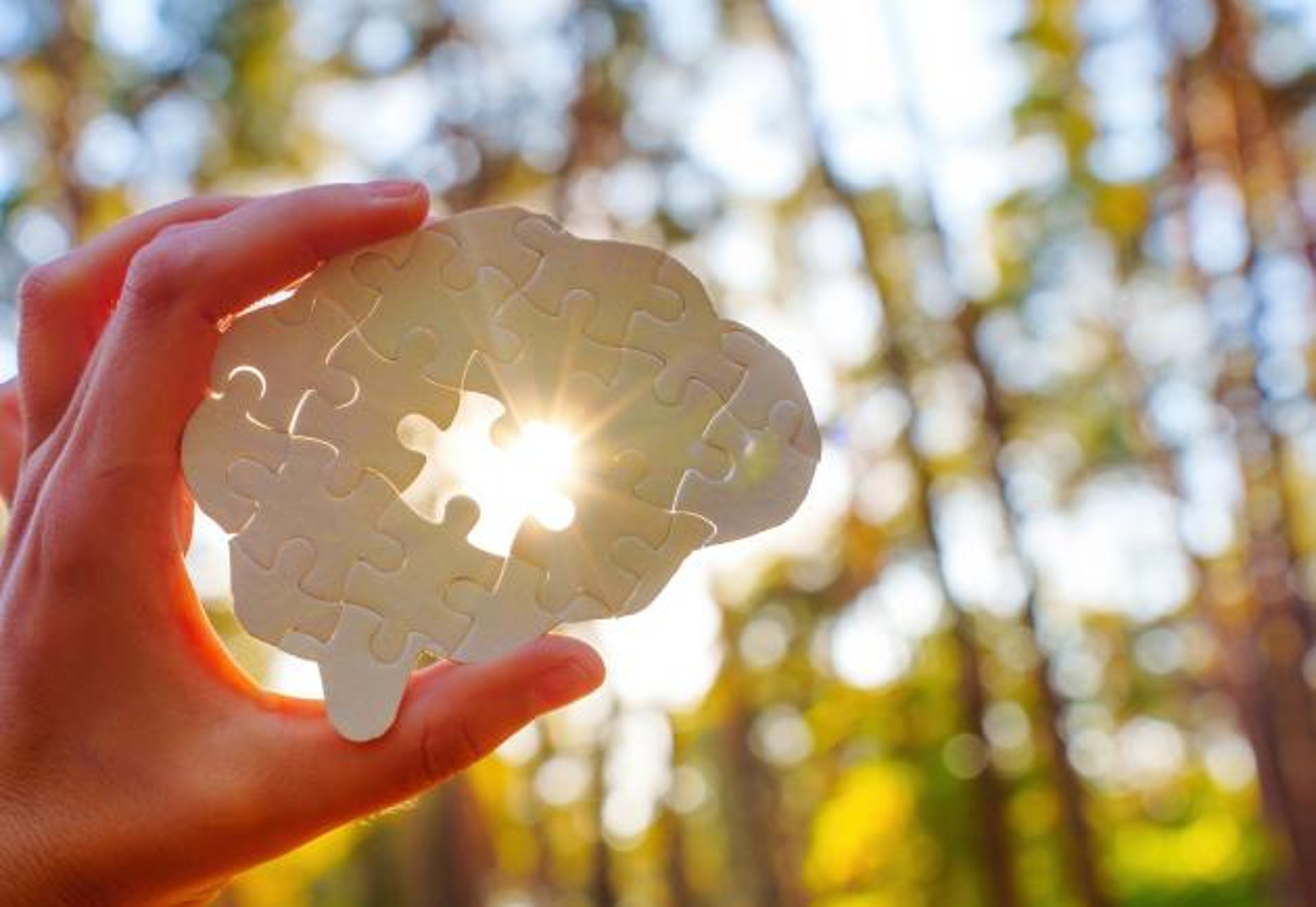 Brain with puzzle piece missing