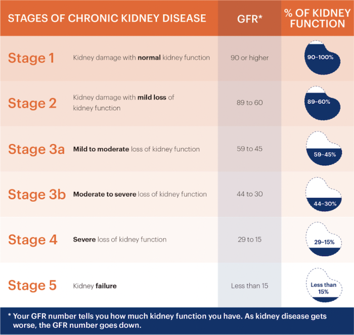 Chronic Kidney Disease (CKD) Stages