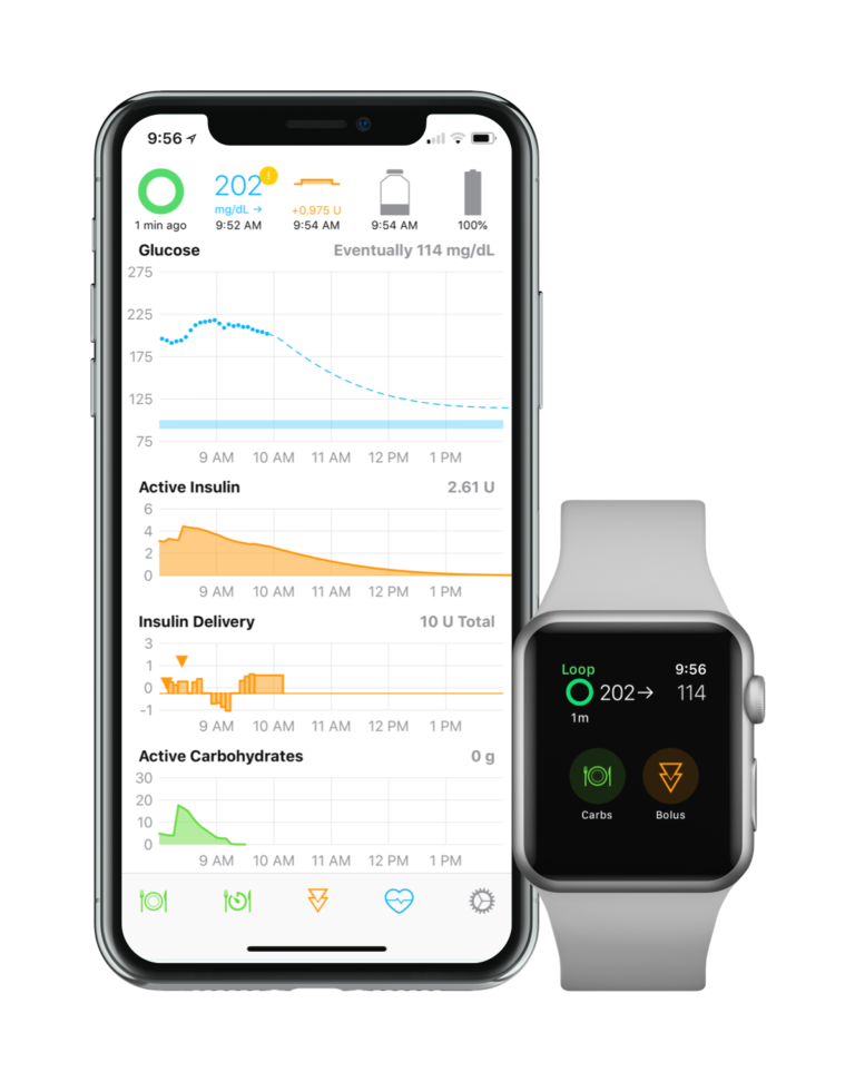 Loop app on iPhone and Apple Watch