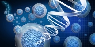 DNA edited stem cells